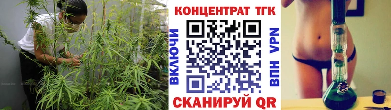 ТГК Wax Болхов
