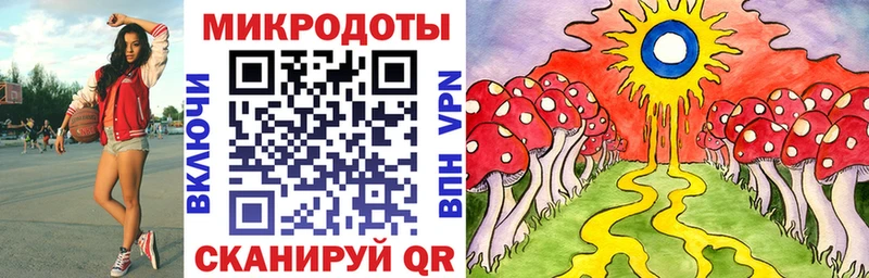 omg ссылки  Болхов  Псилоцибиновые грибы Cubensis 